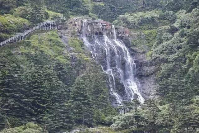 洋葱和豆角能一起吃吗游戏画面